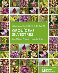 Orqu&iacute;deas silvestres