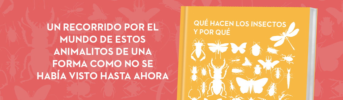 insectos